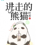进击的熊猫