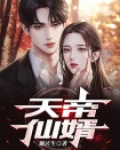 天帝仙婿