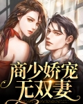 商少娇宠无双妻