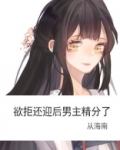 欲拒还迎后男主精分了