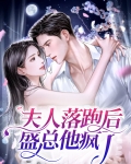 夫人落跑后盛总他疯了