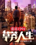 重返1994:草莽人生