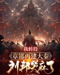 被刘邦驱赶后,我重建大秦