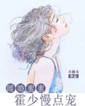暖婚蜜蜜:霍少慢点宠