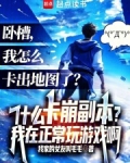 什么卡崩副本?我在正常玩游戏啊