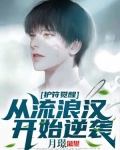 护符觉醒:从流浪汉开始逆袭
