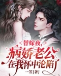 替嫁夜,病娇老公在我怀中沦陷了