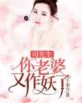 司先生,你老婆又作妖了