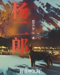 一人之杨二郎