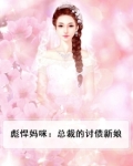 彪悍妈咪:总裁的讨债新娘
