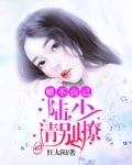 婚不由己,陆少请别撩