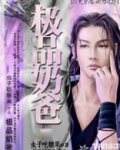 极品奶爸