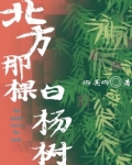 北方那棵白杨树