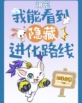 神宠:我能看到隐藏进化路线