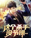 这个杀手没节操