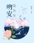 吻安,陆先生