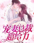 宠妻总裁超给力